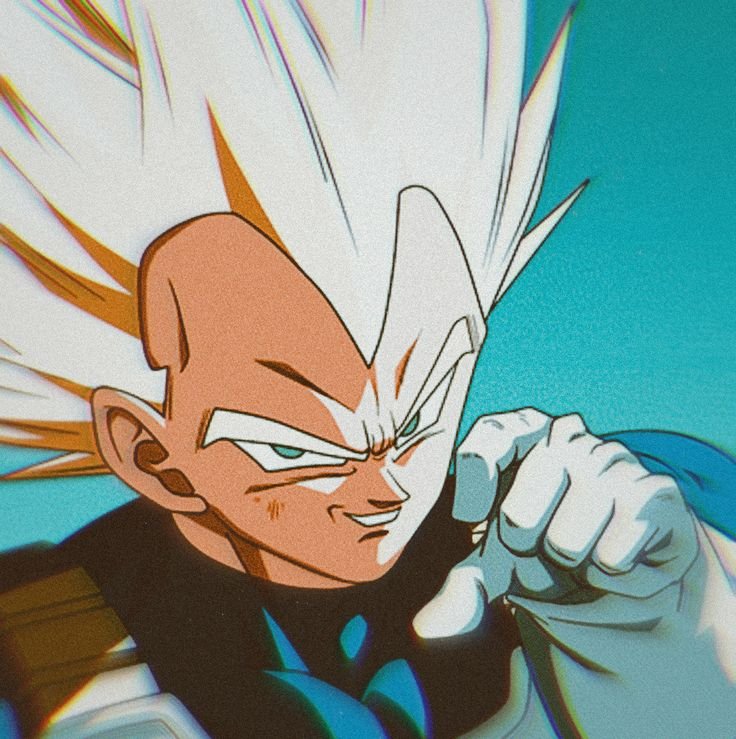 vegeta-pfp_1758641515
