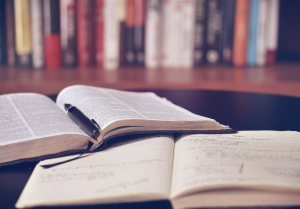 The Foundational Journey and Professional Development of Nicholas Bonito