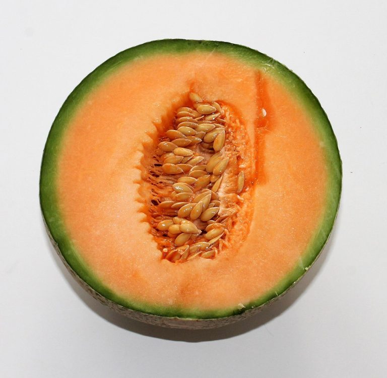 Melon, food, fruit — Dr. Lauren Papa on Personalized Pain Treatment Plans