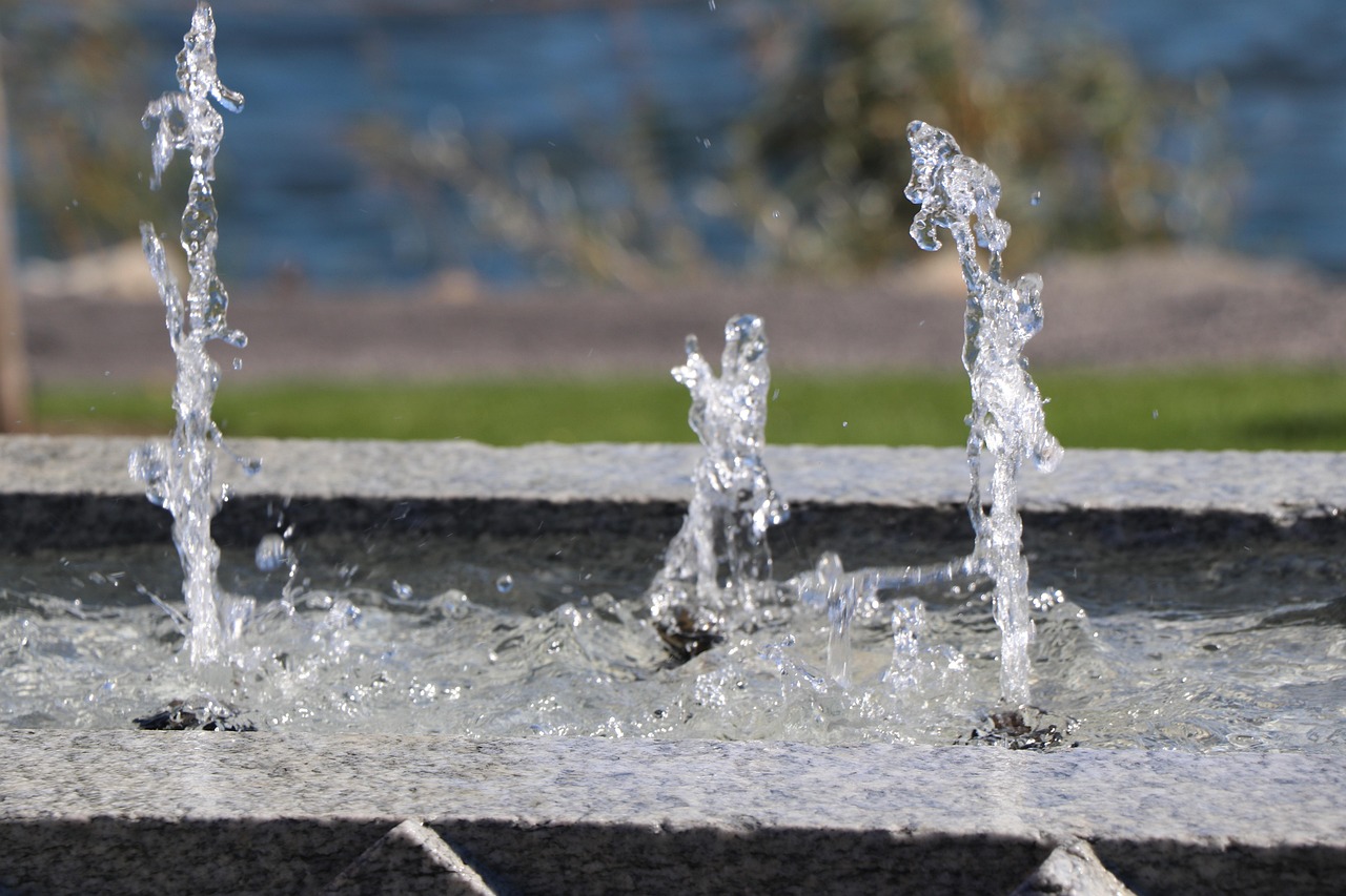 Fountain, nature, water — Why These Medicare Advantage Plans Are the Best for 2026